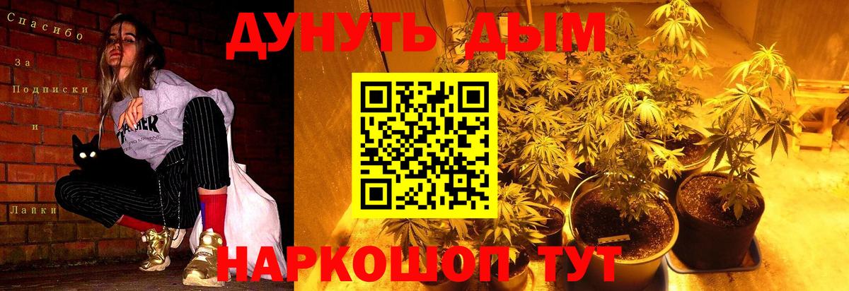 Каннабис Bruce Banner  Канабис гибрид  Вход с VPN  Зеленодольск  Конопля Bruce Banner 